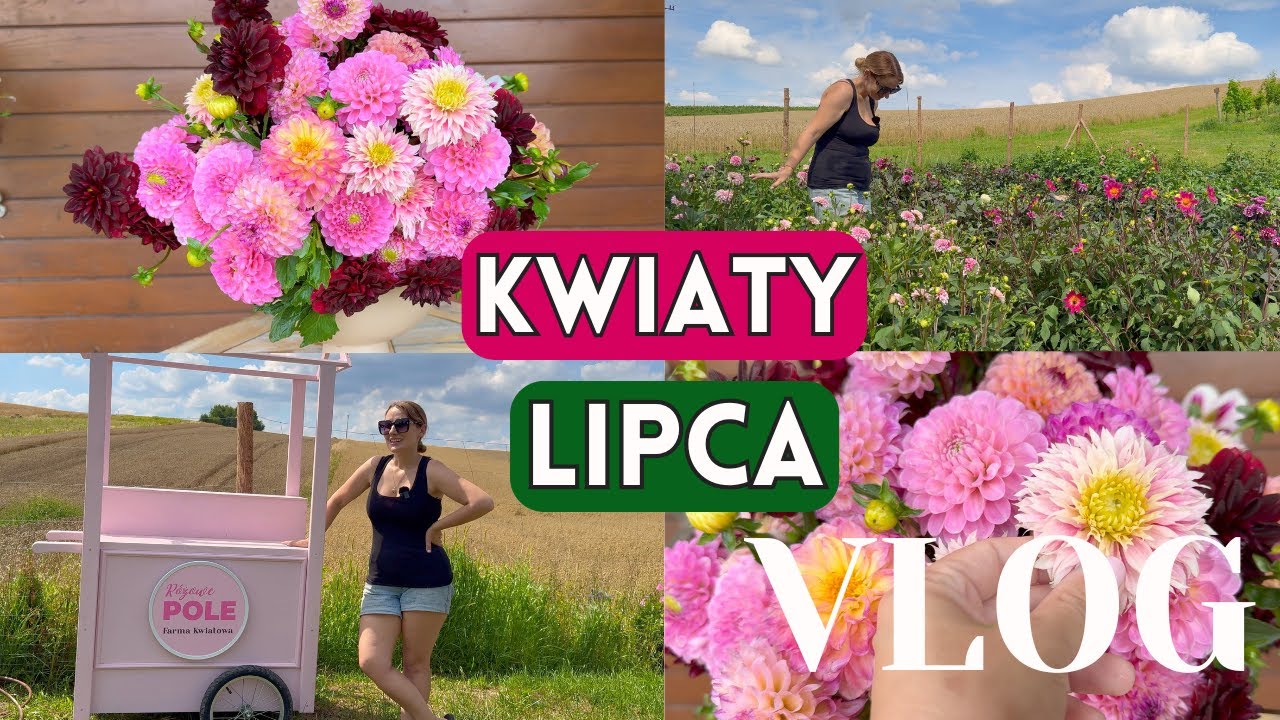 CUDNE ODMIANY RÓŻ! ZWIEDZAMY RÓŻOWE POLE, NASZĄ FARMĘ KWIATOWĄ