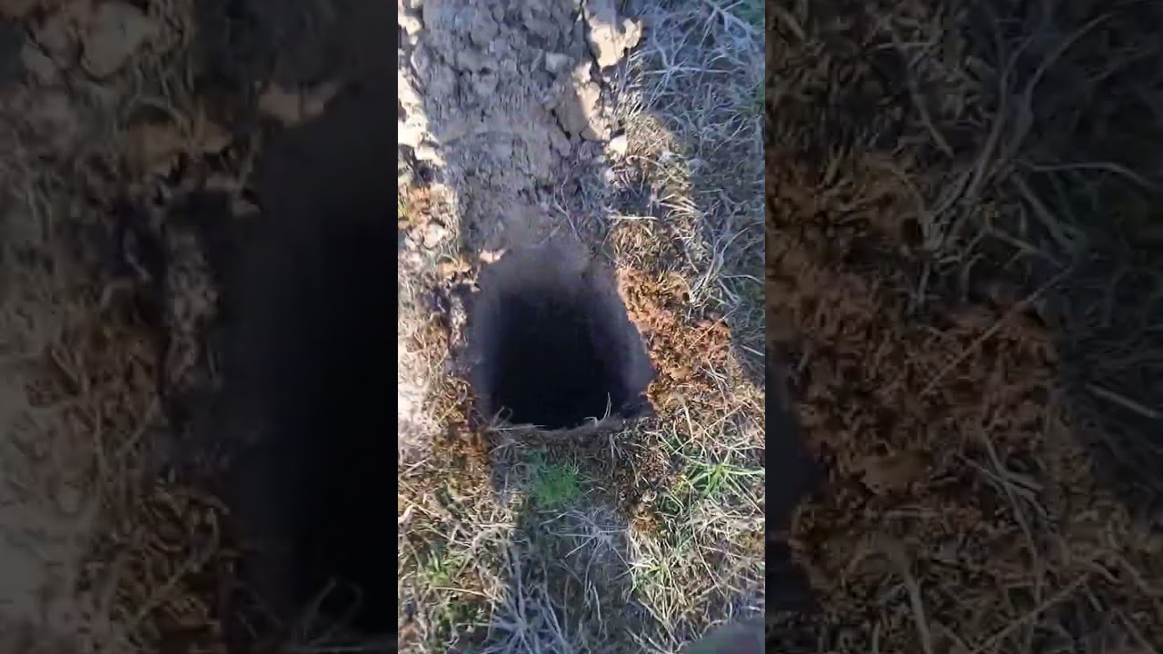 Тест, Nokta makro simplex + и legend.