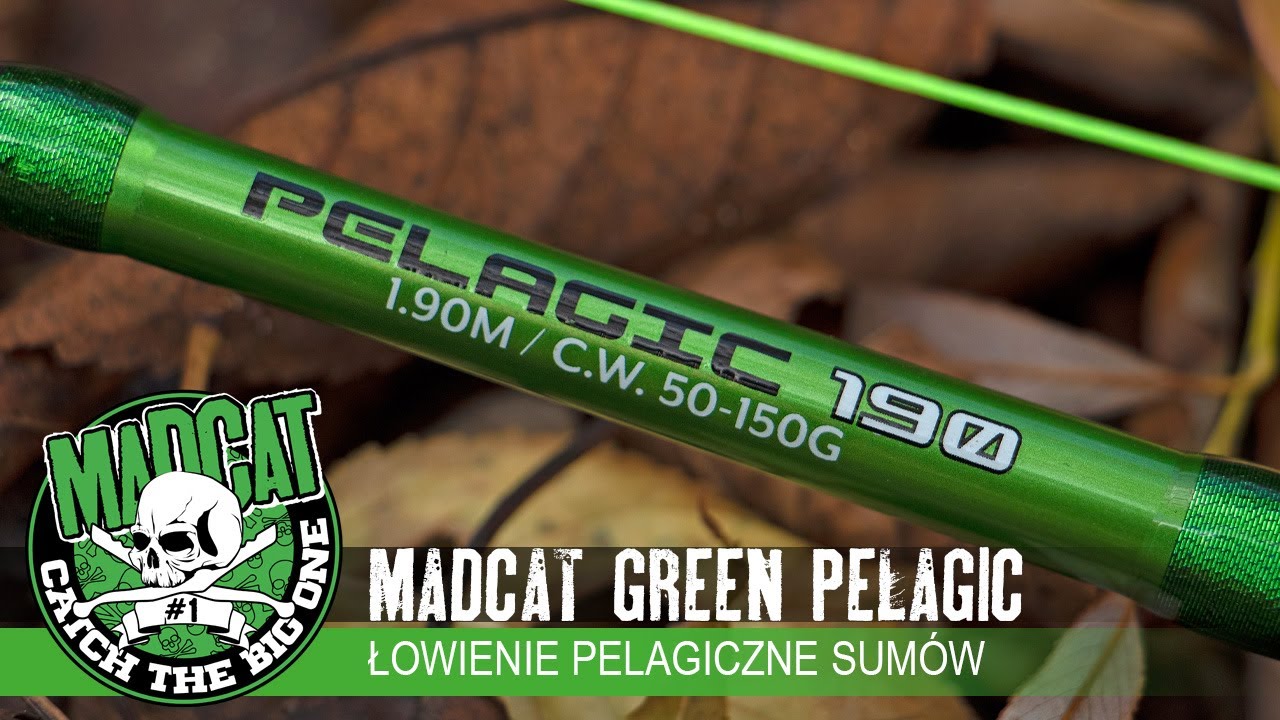 🐋🎣  #wędzisko do pelagicznego łowienia #sum-ów 🟢⚫ #GREEN #PELAGIC // #MADCAT