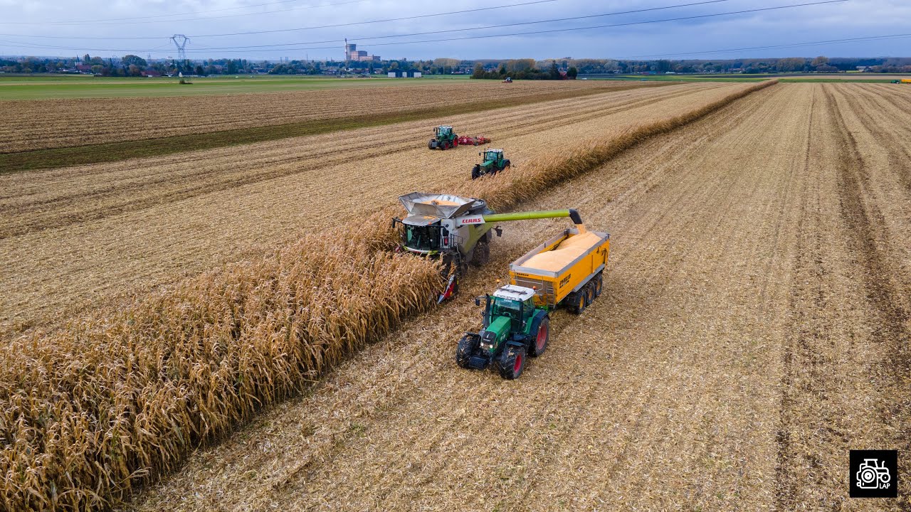 Maïs Grain 2021 - CLAAS Lexion 8800 Terra Trac - 5 Fendt au travail dans la parcelle