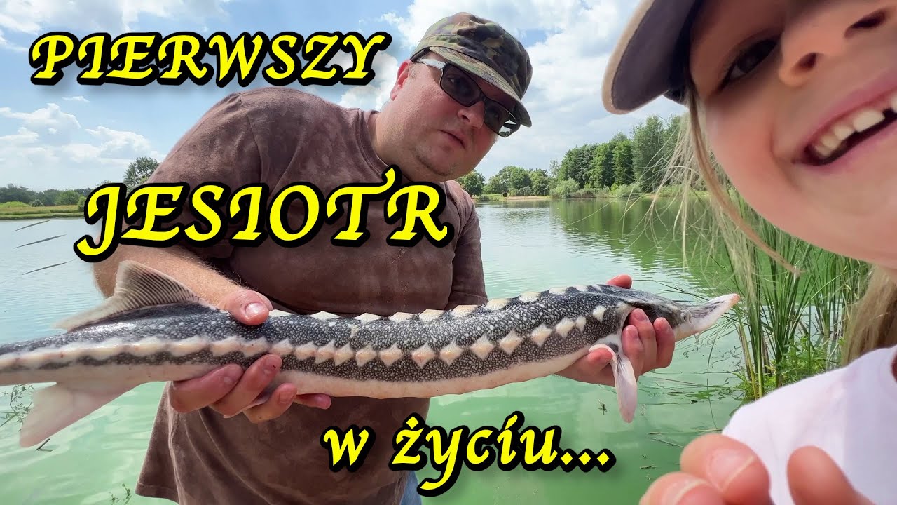 JESIOTR PO RAZ PIERWSZY W ŻYCIU ZAGOŚCIŁ NA WĘDCE - do tego piękne KARPIE i LINY na METHOD FEEDER :)