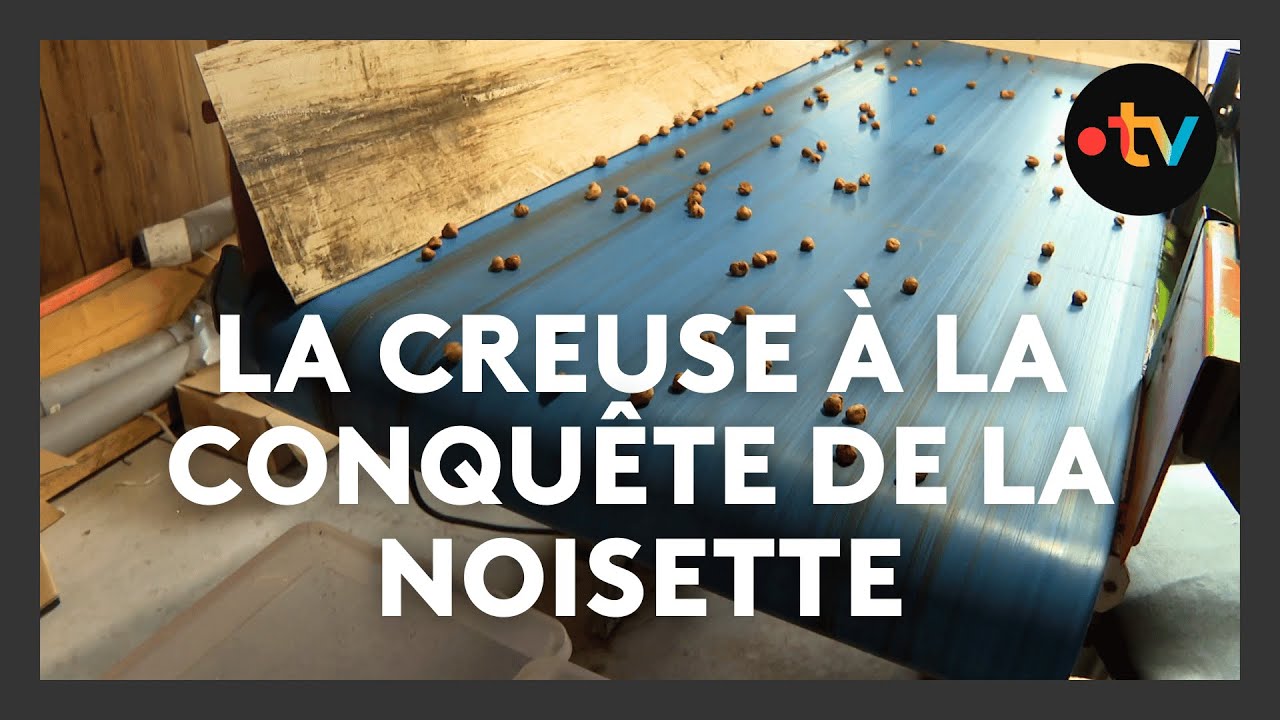 Agriculture. La noisette,  filière d'avenir pour les nuciculteurs de la Creuse