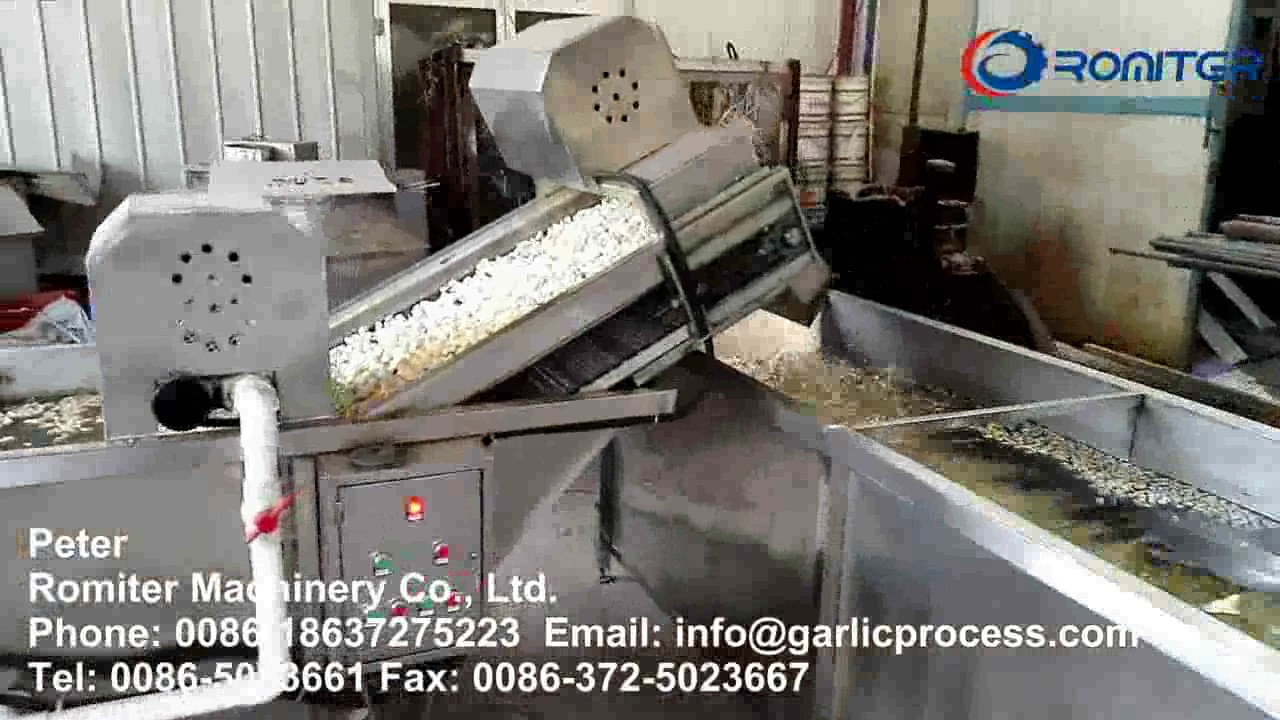 Full Automatic Peeled Garlic Clove Production Line