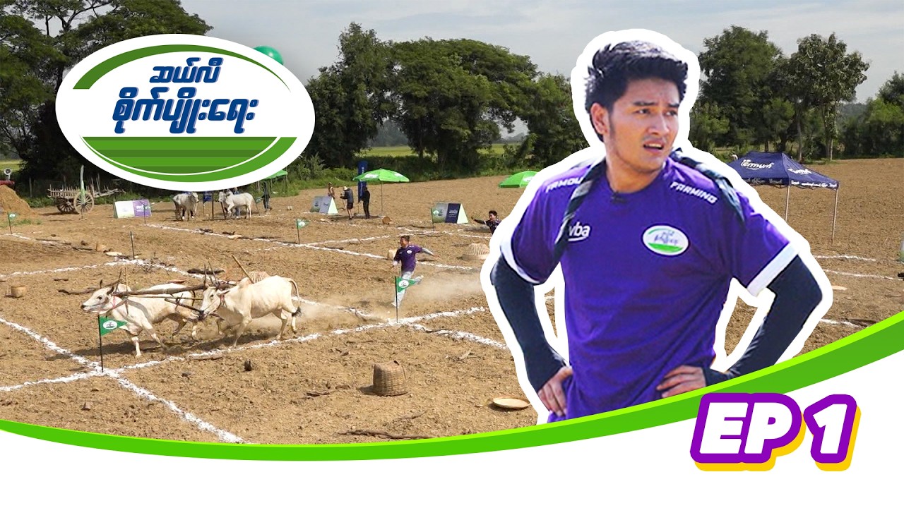 ဆယ်လီစိုက်ပျိုးရေး_ Episode (1)