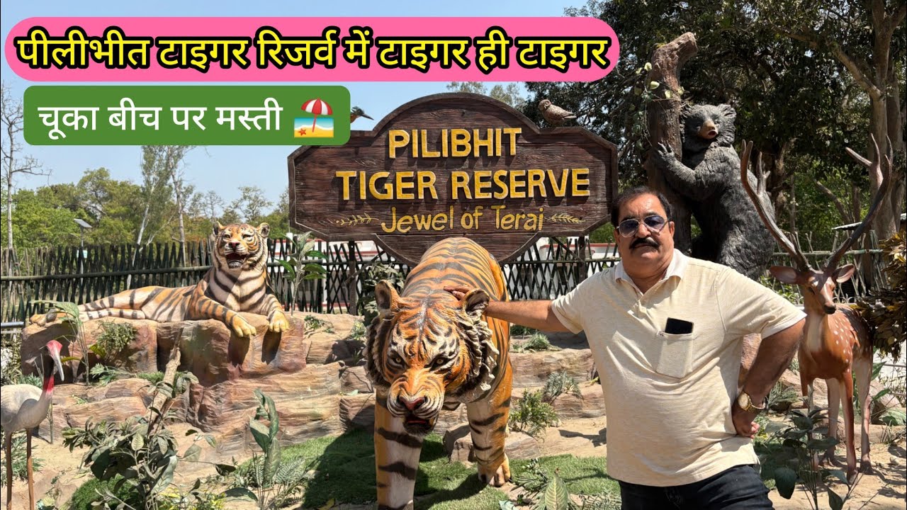 Chuka Beach Pilibhit Tiger 🐅 Reserve | 🐯 टाइगर ही टाइगर | Pilibhit Tiger Reserve