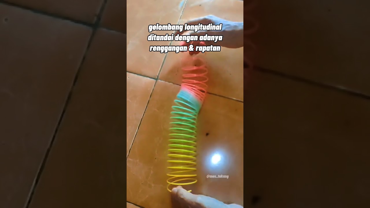 Gelombang longitudinal pada mainan anak