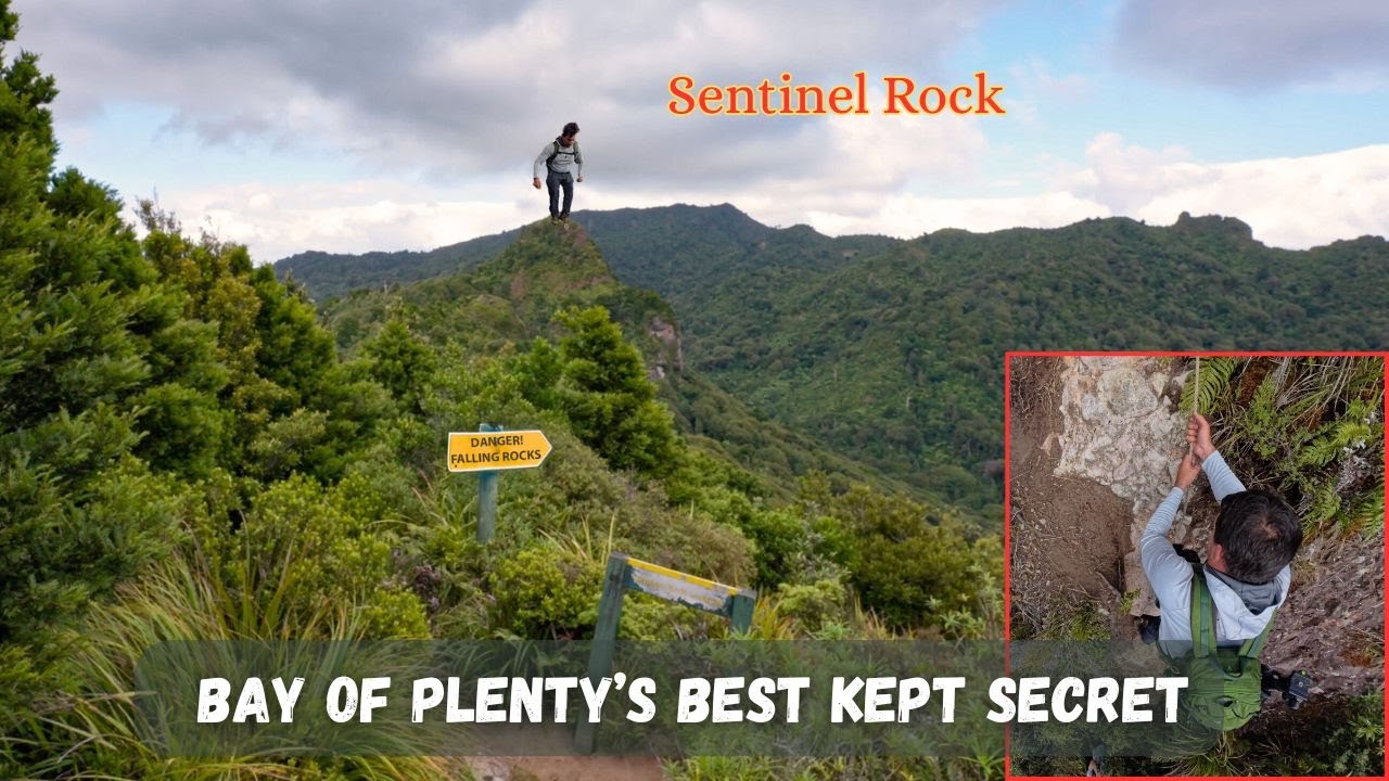 Discovering Sentinel Rock - A Stunning Bay of Plenty Adventure!