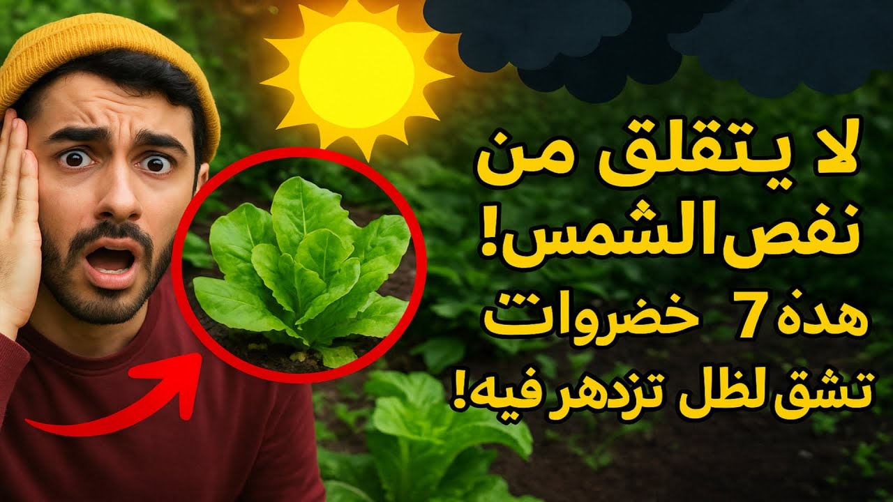 لا تقلق من نقص الشمس! هذه ٧ خضروات تعشق الظل وتزدهر فيه!