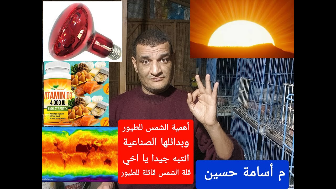 الشمس والطيور وخاصة الحمام أهميتها وبدائلها الصناعية م أسامة حسين