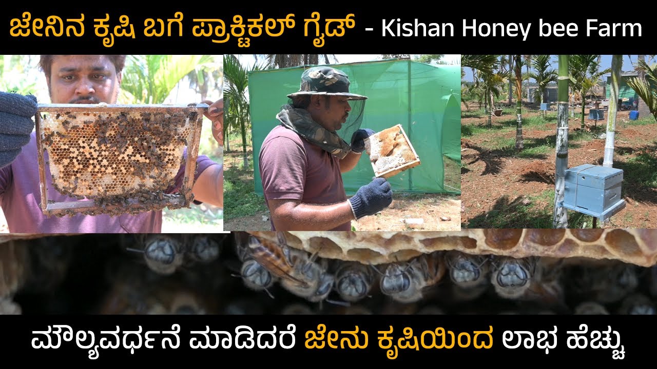 Honey Bee Farming Practical Training | ಜೇನು ಕೃಷಿ ಪ್ರಾಕ್ಟಿಕಲ್ ತರಬೇತಿ | ಮಣ್ಣಿನ ಮಕ್ಕಳು| #honeybee #farm