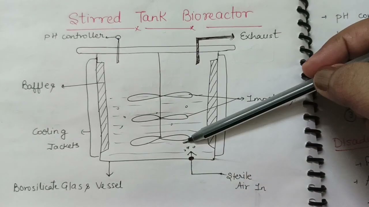Enzyme Reactor and Stirred tank reactor