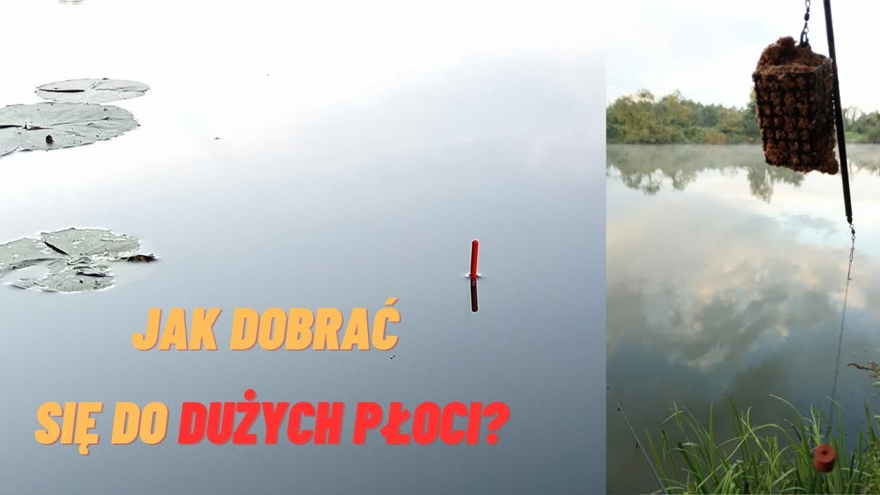 ŁOWIMY PŁOCIE NA SPŁAWIK