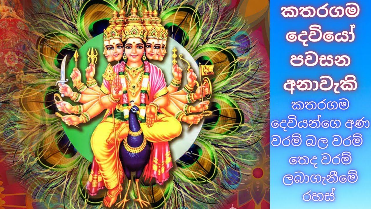 කතරගම දෙවියෝ පවසන අනාවැකි   WHATS APP 075 14 50917  #dewaarana#දේවඅරණ