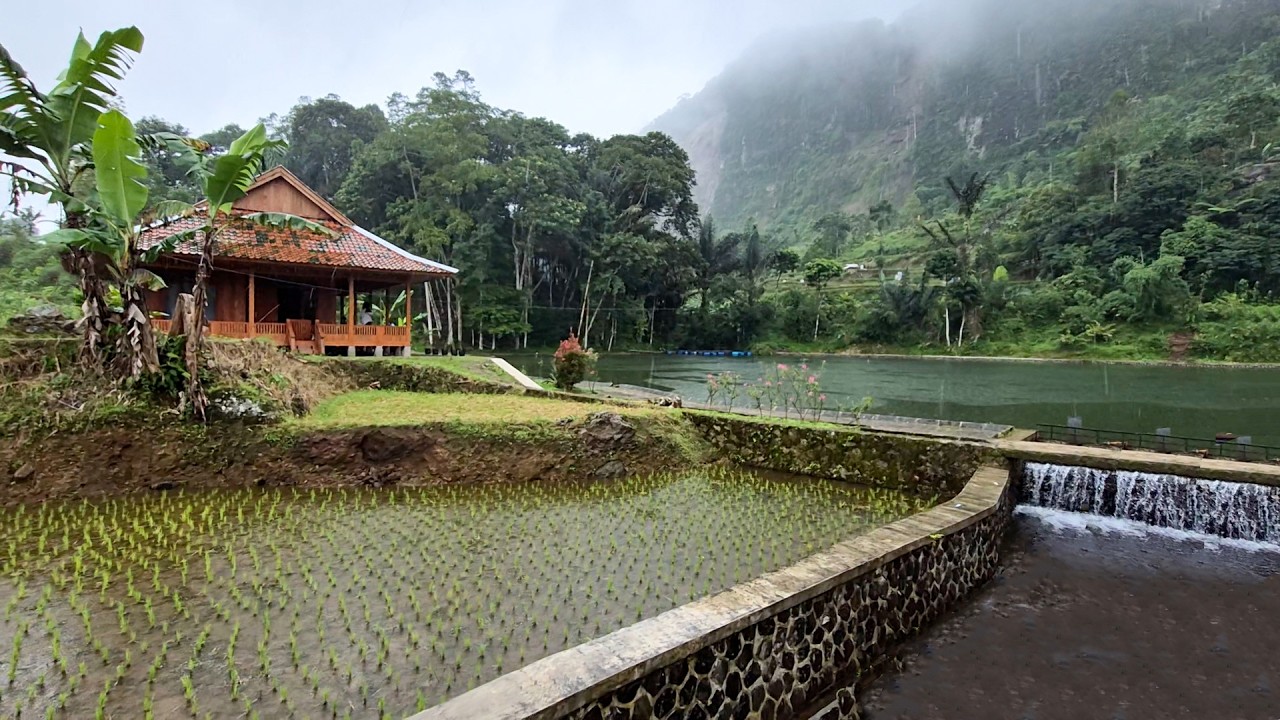 Hidup di Desa, Hujan Membuat Suasana Semakin Syahdu Saat Menginap Dirumah Pinggir Danau