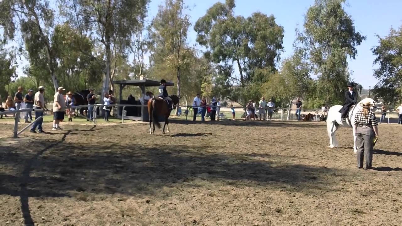 Hannah & Marco NA - Walk/Trot  RCAHA Show