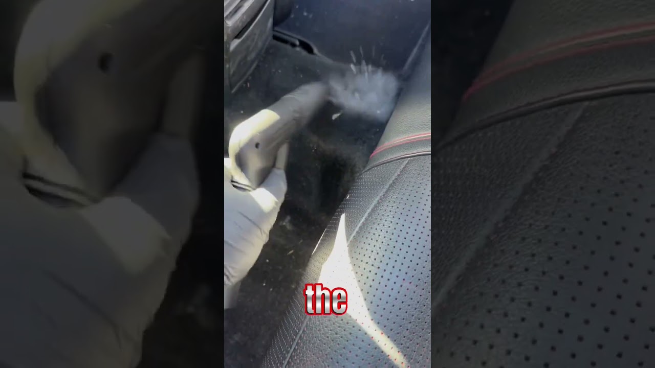 Can car detailing remove mold???