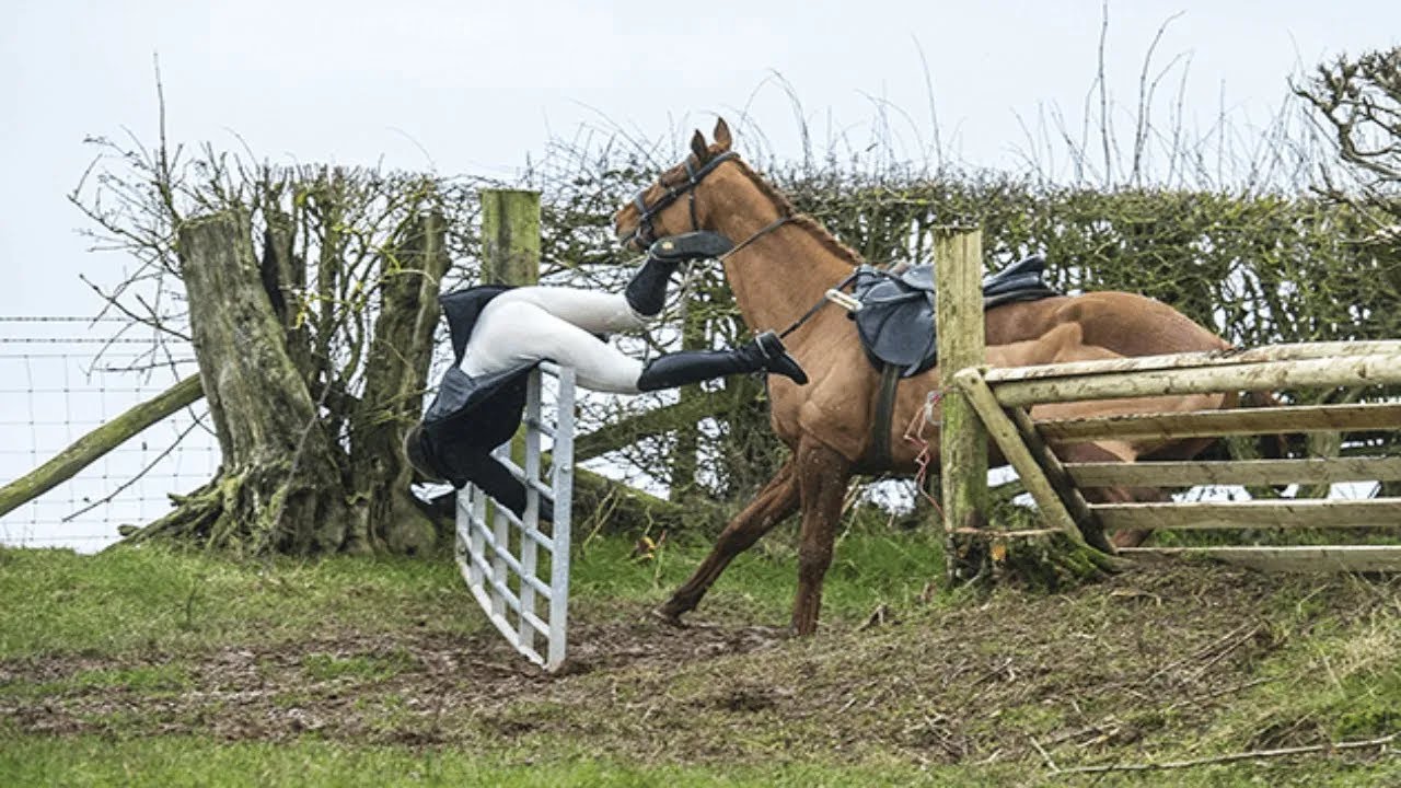 😲 De Ergste Paardrijd Fails En Paarden Bloopers Grappige Paarden Filmpjes 😲