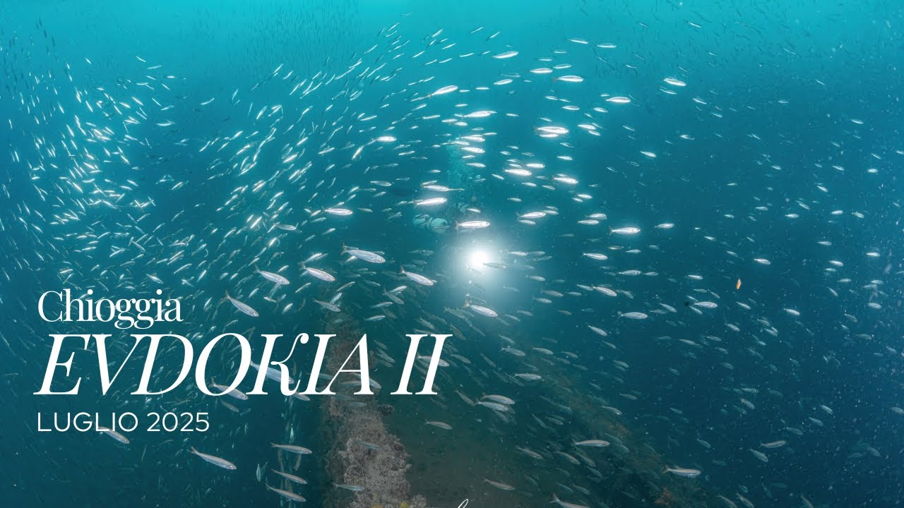 Immersione SUBACQUEA sul RELITTO EVDOKIA..un EXPLOIT di PESCE!