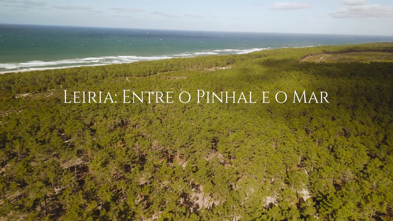 Leiria Entre o Pinhal e o Mar
