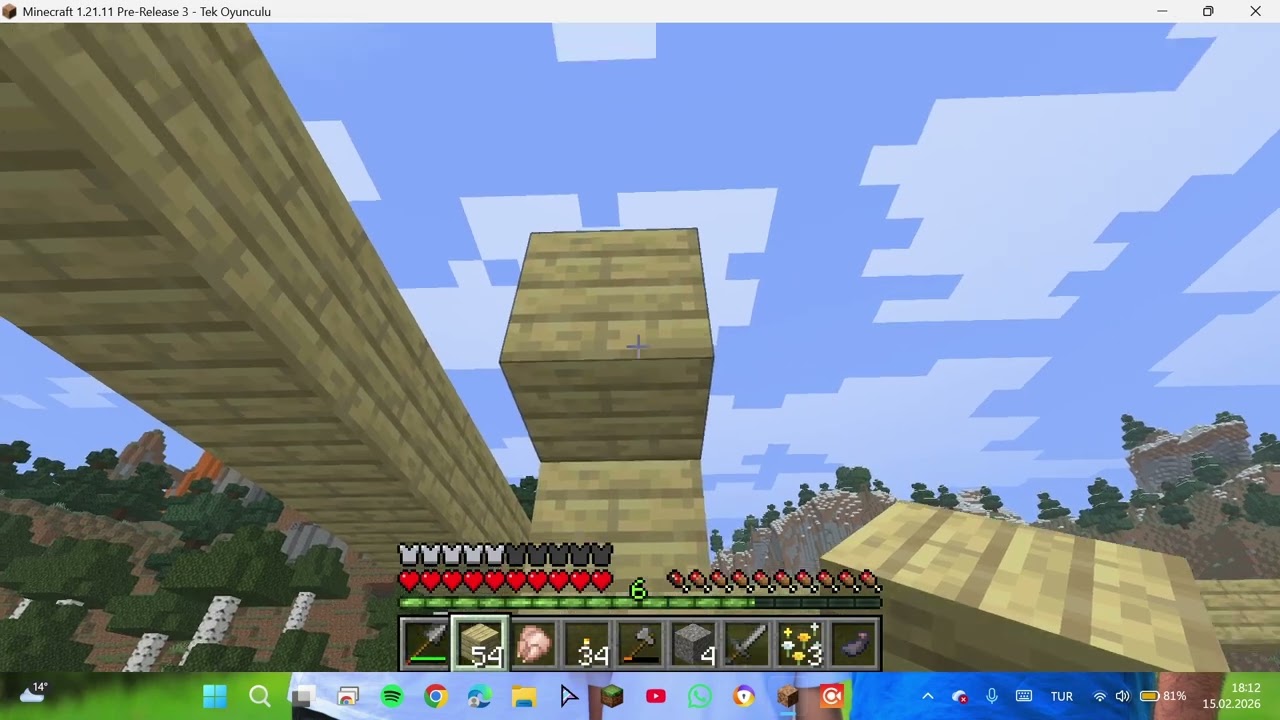 #Minicraft ABUNE OL