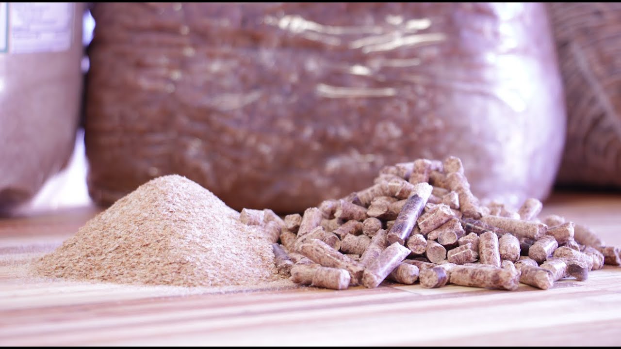 Growing Lion's Mane on Enriched Hardwood - Pellet and Wheat Bran Substrate - Built a Fruiting Block