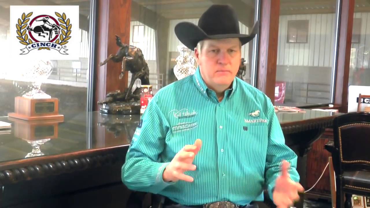What to Look For in a Reining Horse Prospect