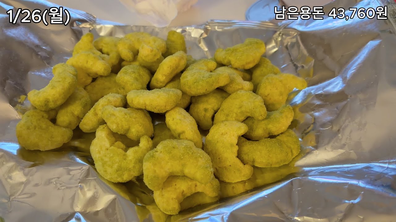용돈 30만원 직장인의 일상 / 2주간 밀린 일상