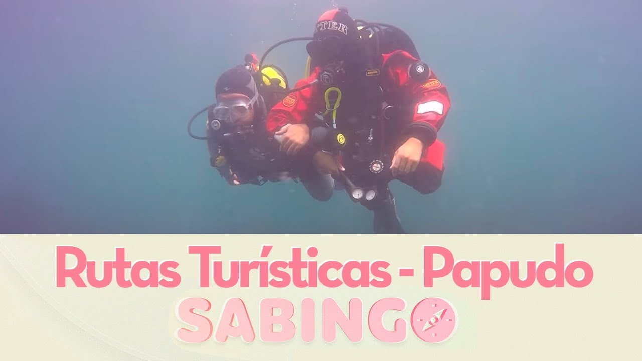 Rutas Turísticas: Dani Urrizola aprendió a bucear en Papudo - Sabingo