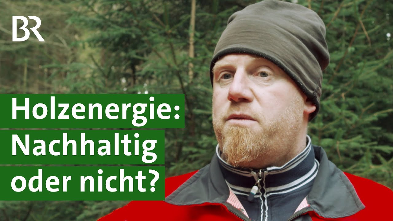 Heizen mit Hackschnitzeln: Gute Klimabilanz oder Raubbau im Wald? | Energiewende | Unser Land | BR
