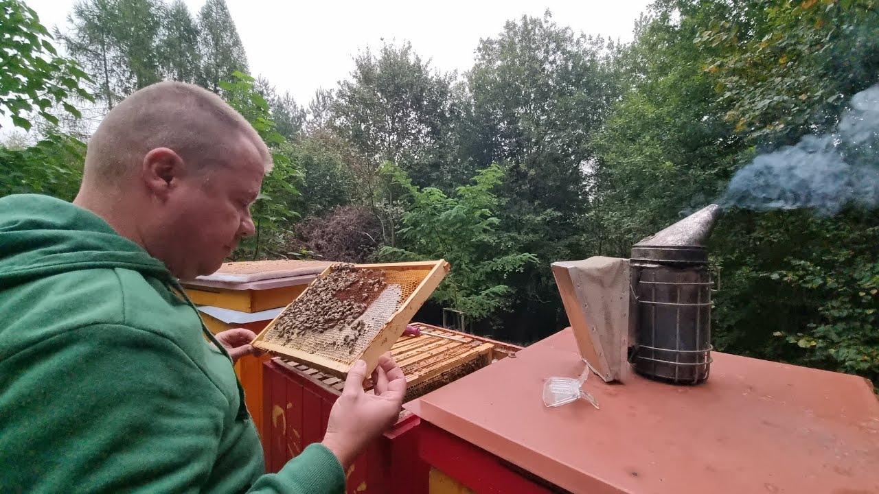 Izolácia matiek (zamedzenie plodovaniu, fumigácia)🐝🍯