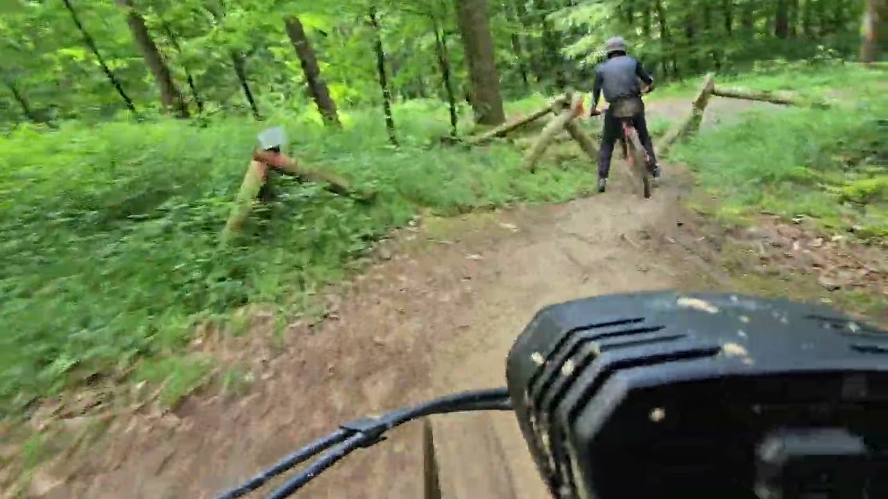 Mosbach Flowtrail g`hupft wie g`sprunge Blueline 9.6.25 MTB Trail