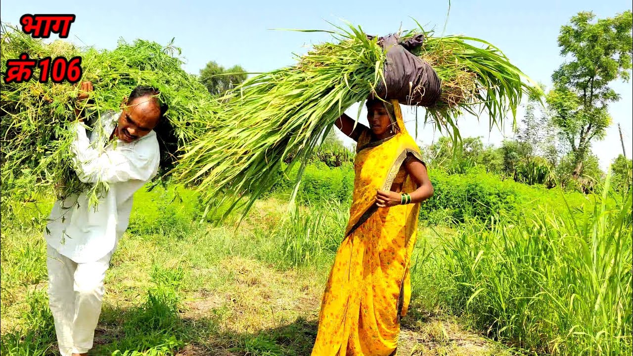 मि कायम चांगल बोलतो आयलाबीव