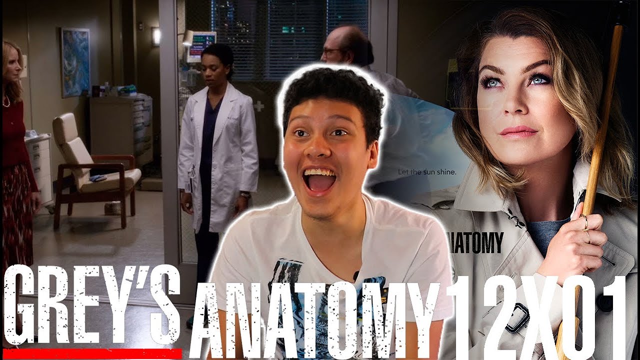 The One Where Maggie Hits a Woman | Grey's Anatomy 12x01 Reaction | Shoter Stone
