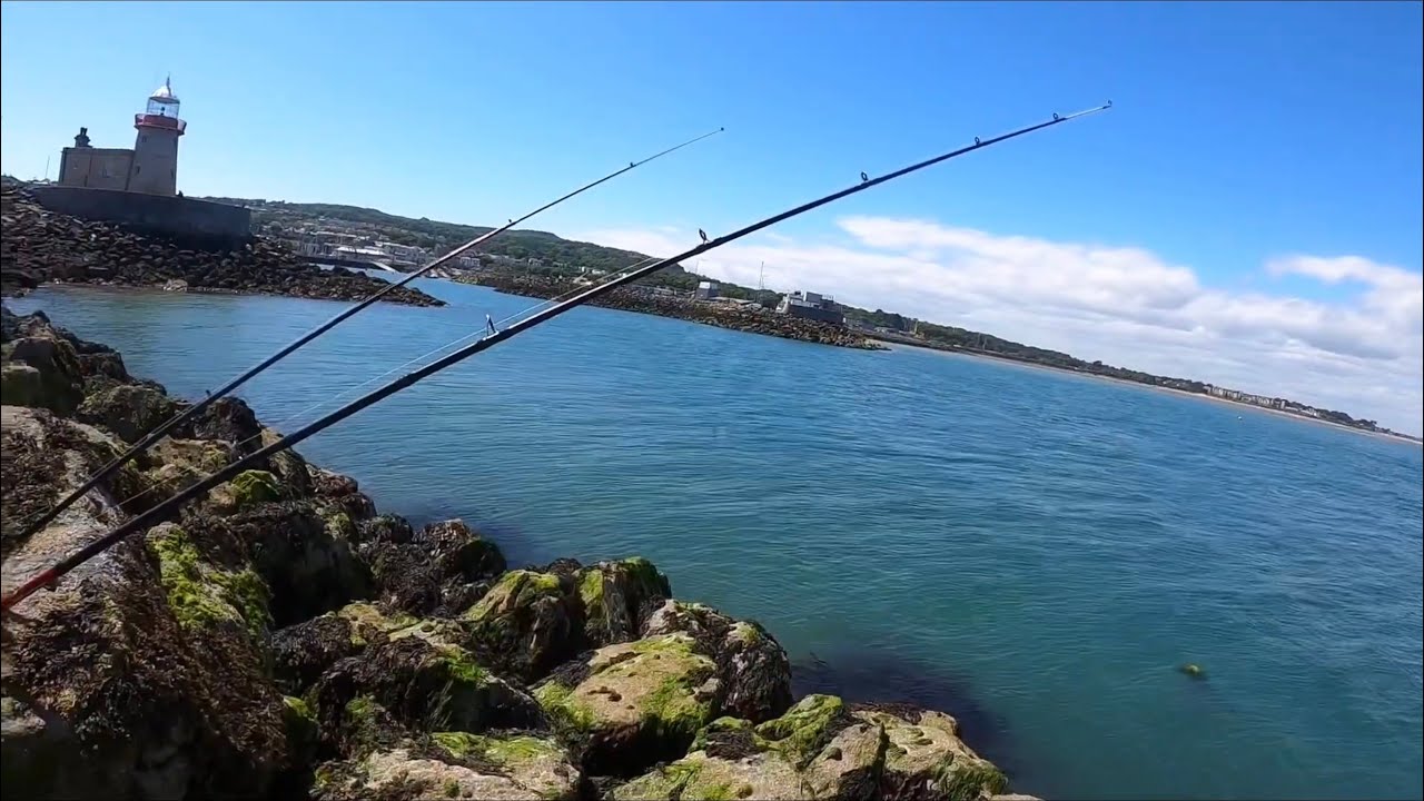 2 Days Fishing In Howth, Dublin (Harbour Wall)