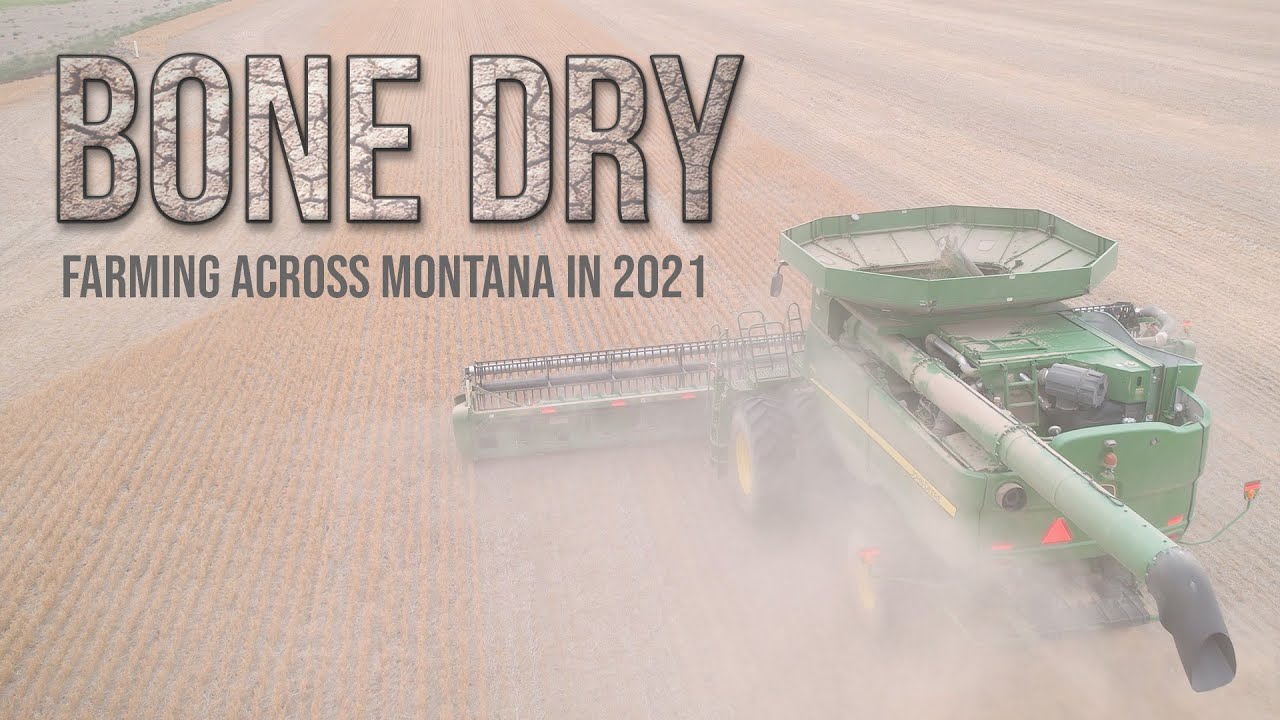 Bone Dry — Фермерство в Монтане в 2021 году