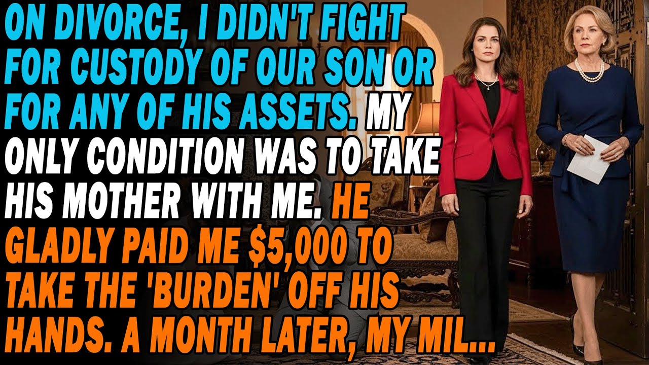On Divorce📄I Made No Demands, Except To Take👵MIL. Relieved, He Paid Me $5k. A Month Later,🤔My MIL...