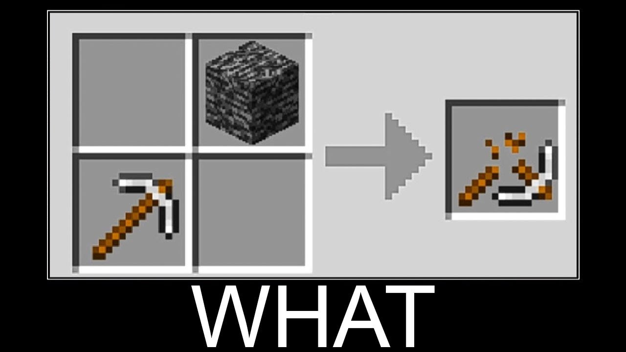 Minecraft WAIT WHAT #2307