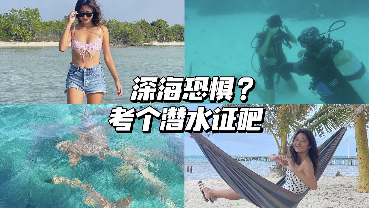 旅居VLOG 10: 伯利兹考潜水证 与鲨鱼共游 和深海恐惧说拜拜！