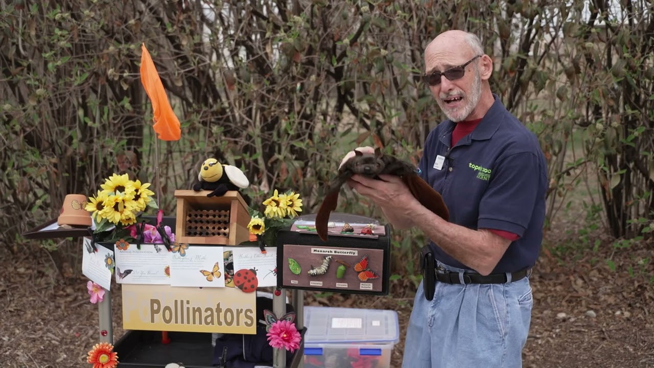 Zoo and You   Episode 4   Pollinators