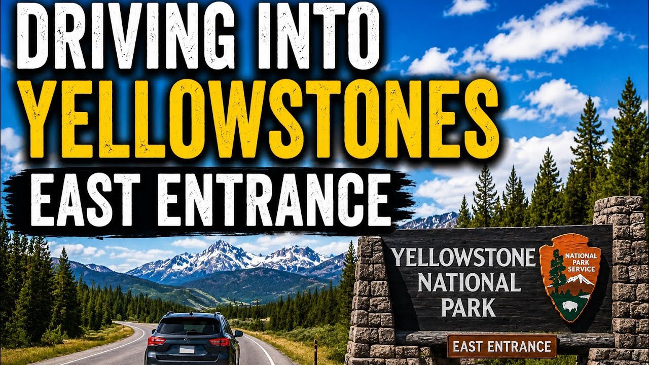 Yellowstone Drive