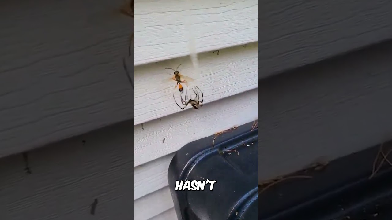 Nature's PEST Control
