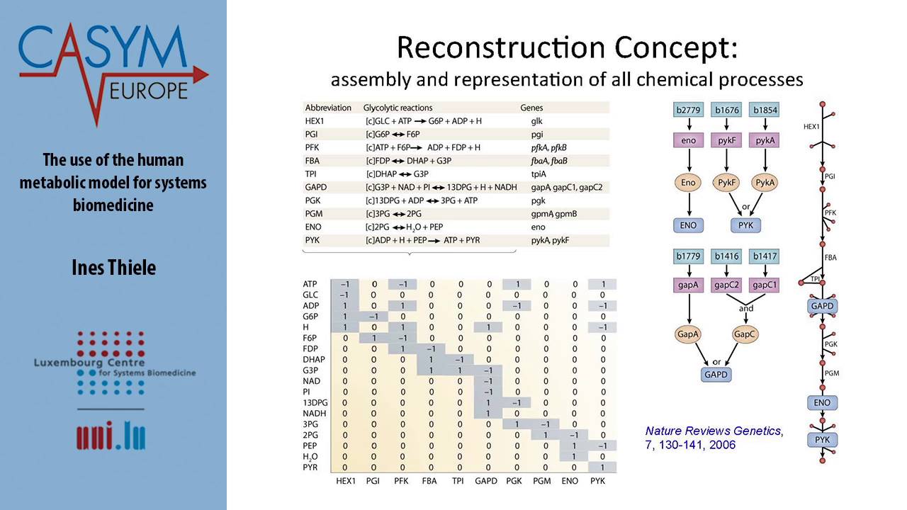 Casym Summer School:  The use of the human metabolic model