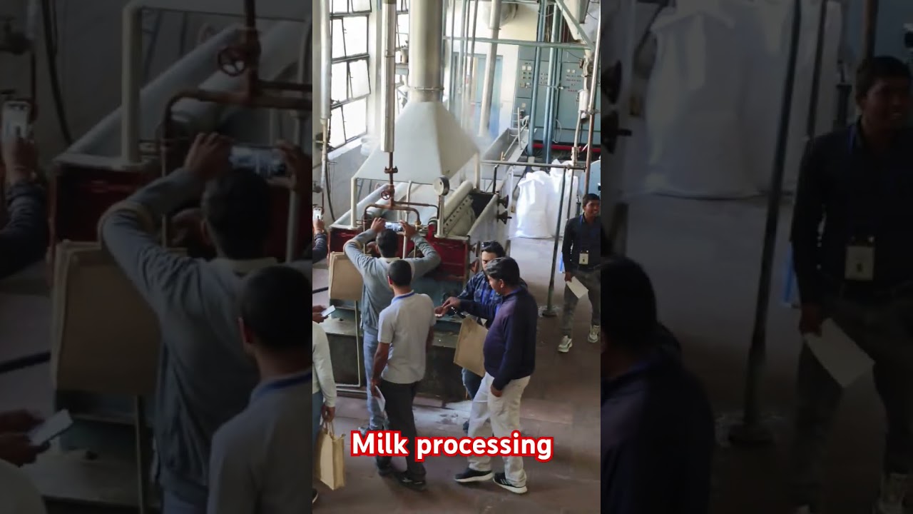 milk processing in NDRI karnal haryana