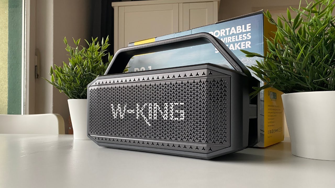 W-King D9-1 Erster Eindruck und Soundcheck