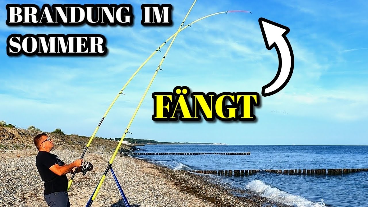 Brandungsangeln im Hochsommer an der Ostsee bei 30 Grad auf Plattfisch. Was fängt  jetzt im August
