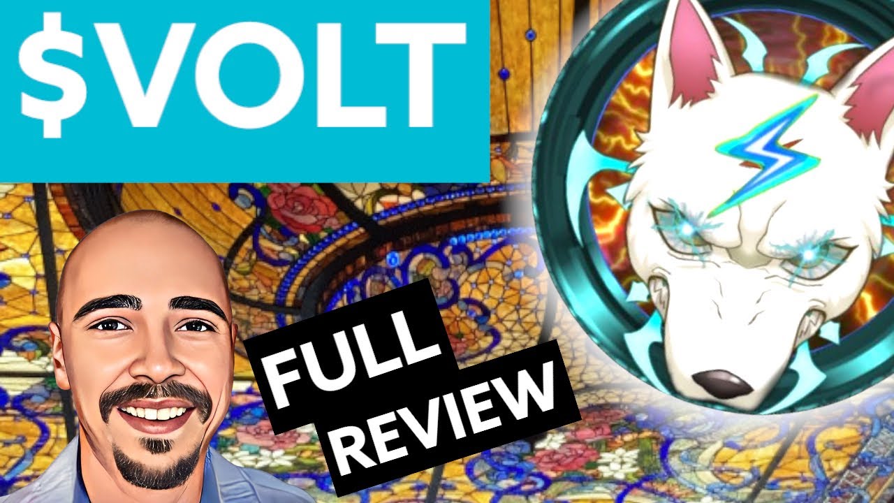 VOLT INU FULL REVIEW! WHAT MAKES THIS ASSSET DIFFERENT?