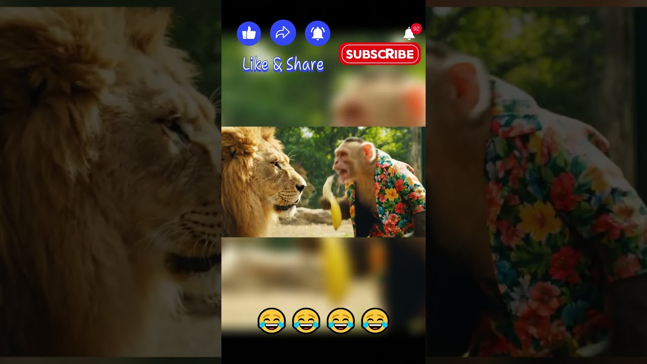 lion vs monkey😂😂#viral #cartoon #animal #funny