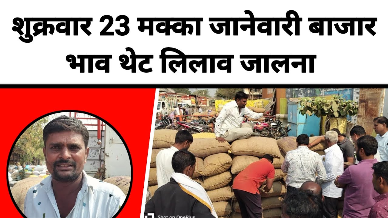 शुक्रवार 23 जानेवारी मक्का बाजार थेट लिलाव जालना महाराष्ट्र || मक्काला काय मिळतो भाव
