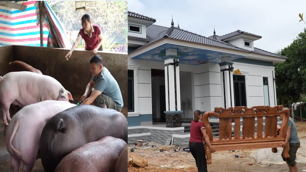 Call husband to take care of pigs. Move furniture to new house together. ( Ep 399 )