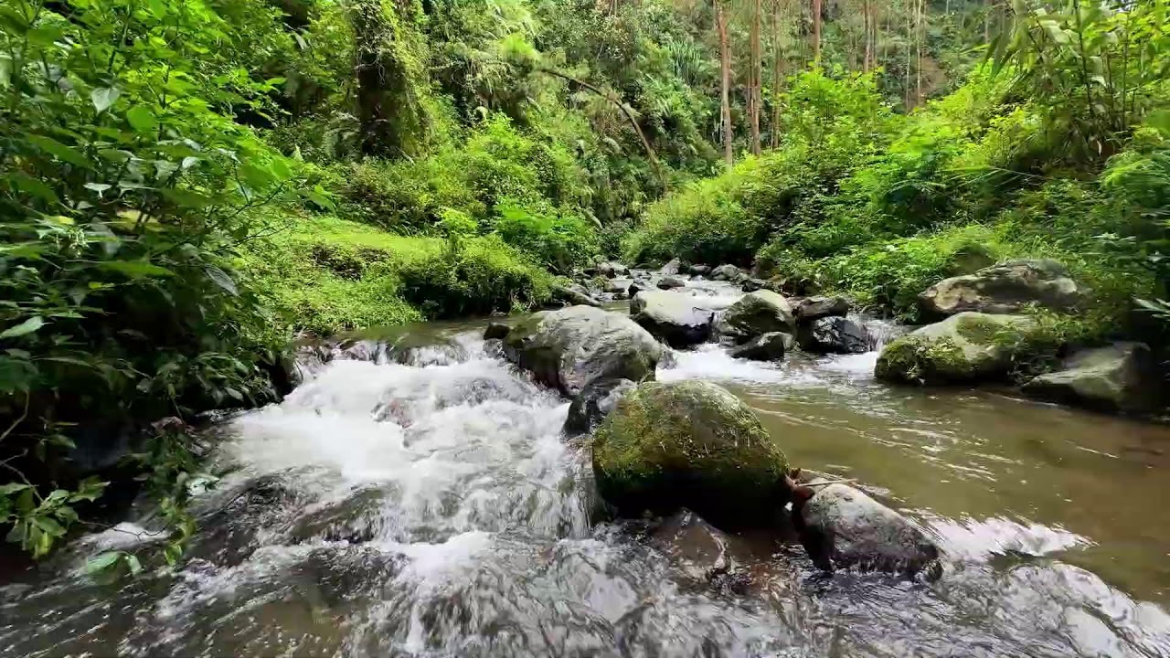 Relax your mind with soothing river sound around soft flowing water for consistent deep sleep
